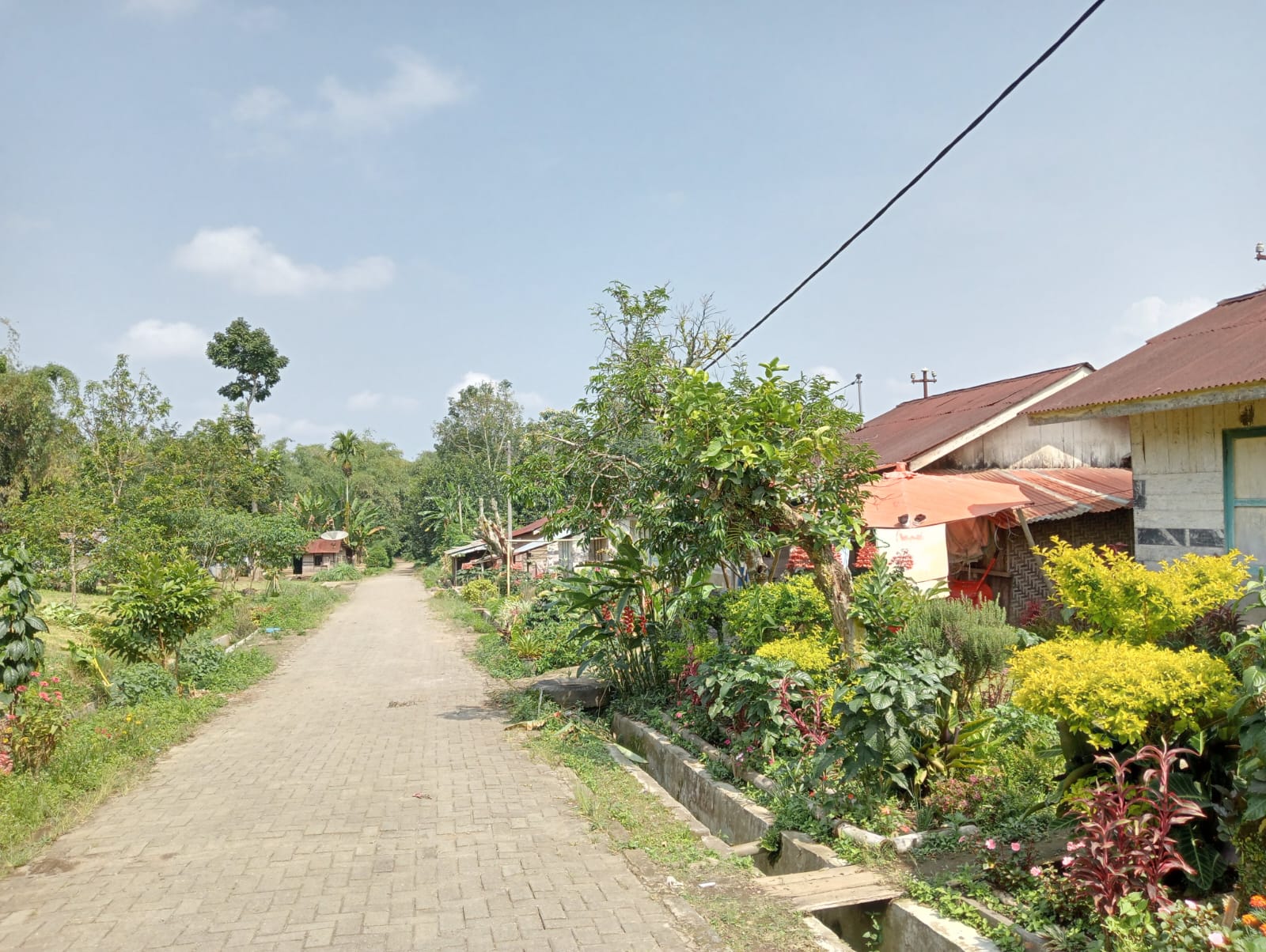 Suasana asri jalan masuk desa Lau Simomo (Dokumentasi Pribadi)